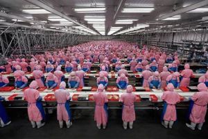 Manufacturing #17 Dead Chicken Processing Plant, Dehui City, Jilin Province, China, 2005. Edward Burtynsky